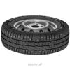 Michelin Agilis X-Ice North (195/75R16 107/105R)