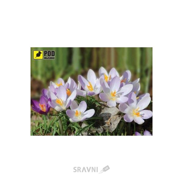 Килимки для миші Коврик для мыши PODMЫSHKU Весна-Крокусы