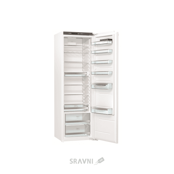 Холодильники і морозильники Холодильник Gorenje RI 2181A1